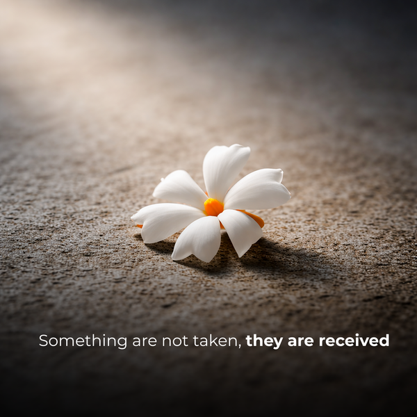 ABODE Parijat Fragrance Oil | 15ml | Camphor & Night-Blooming Jasmine Blend | For Diffusers